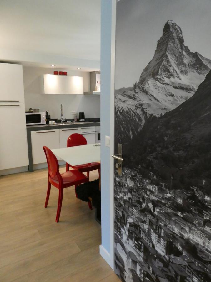 Central & Elegant Apartments,Partially With Fireplace, By Zermatt Rental Buitenkant foto