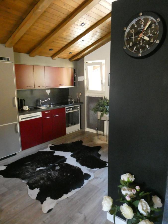 Central & Elegant Apartments,Partially With Fireplace, By Zermatt Rental Buitenkant foto